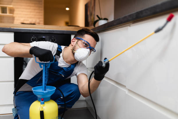 Best Flea Control Services  in Factoryville, PA