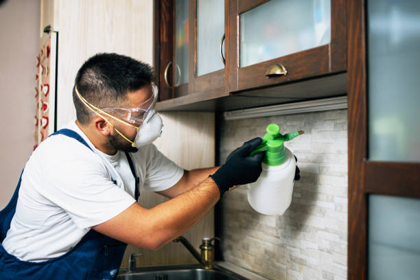 Best Insect Control  in Factoryville, PA