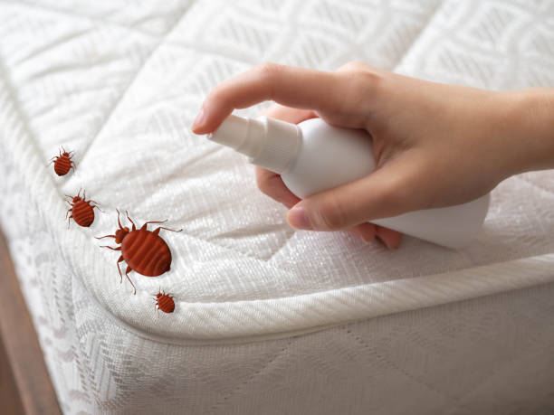 Best Spider Control Near Me  in Factoryville, PA