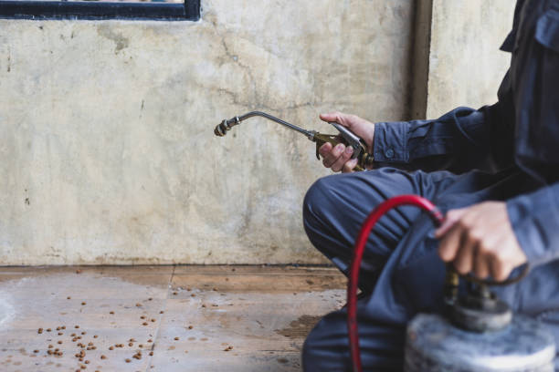 Best Local Pest Control Services  in Factoryville, PA
